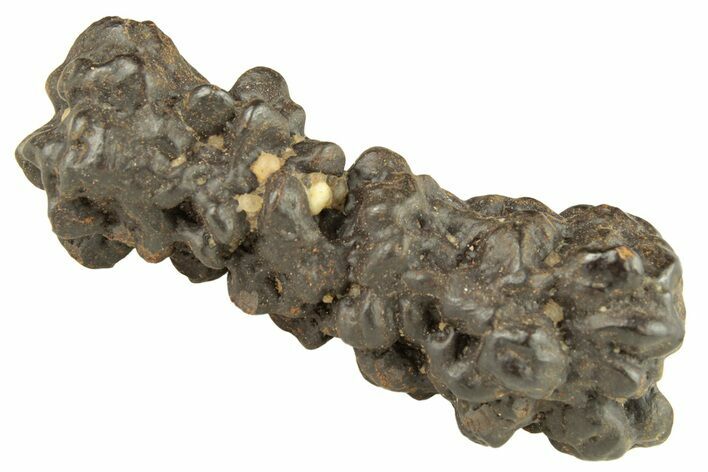 Goethite (Limonite) Pseudomorph after Pyrite/Marcasite - Egypt #257317